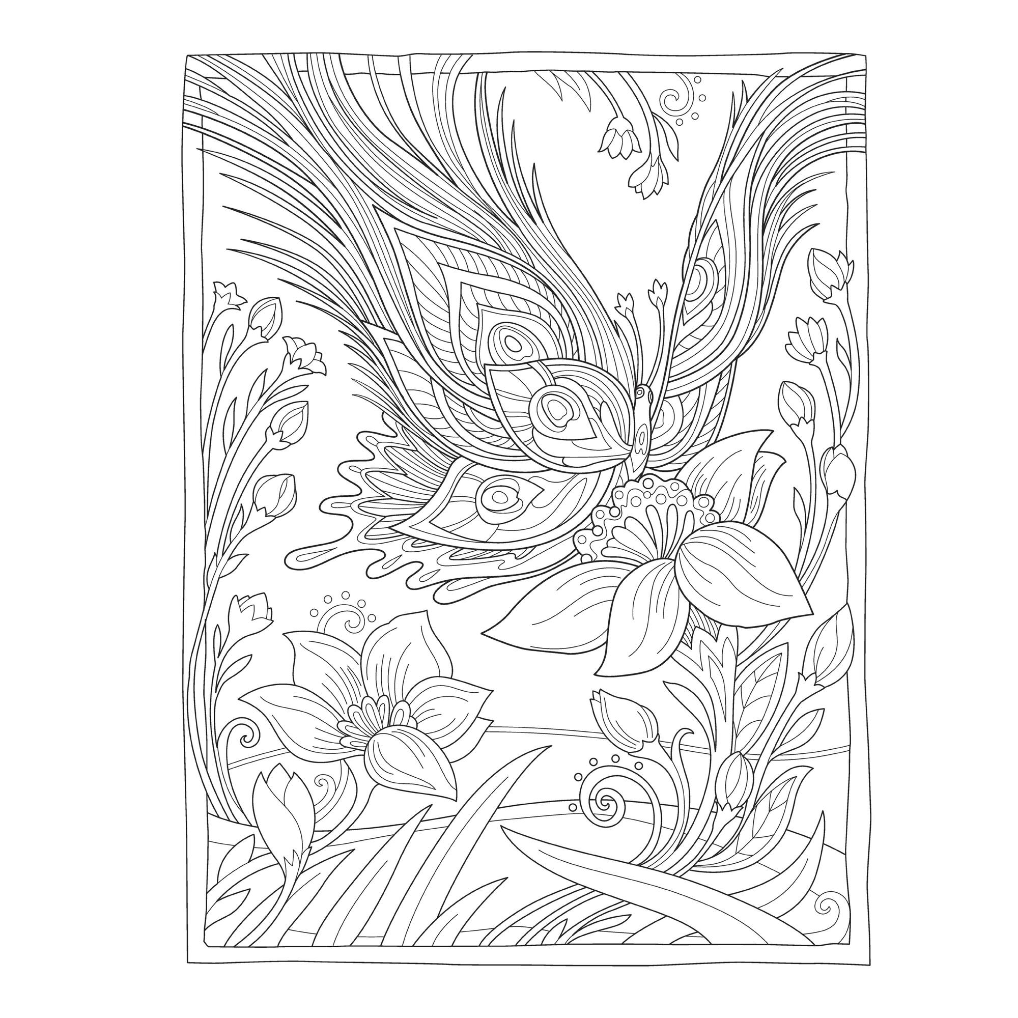 Dover Publications Creative Haven: Butterflies Flights Book